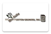 Logo kênh phân phối thông cáo báo chí quốc tế - Prquocte.vn