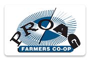 Logo kênh phân phối thông cáo báo chí quốc tế - Prquocte.vn