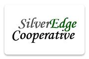 Logo kênh phân phối thông cáo báo chí quốc tế - Prquocte.vn